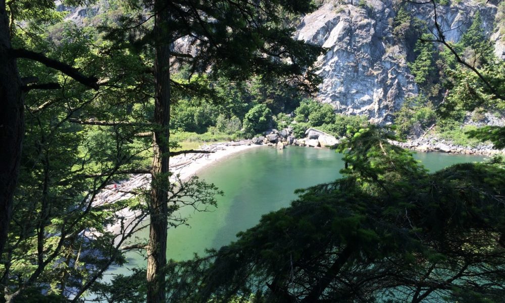 View of a bay through the trees on Lopez Island