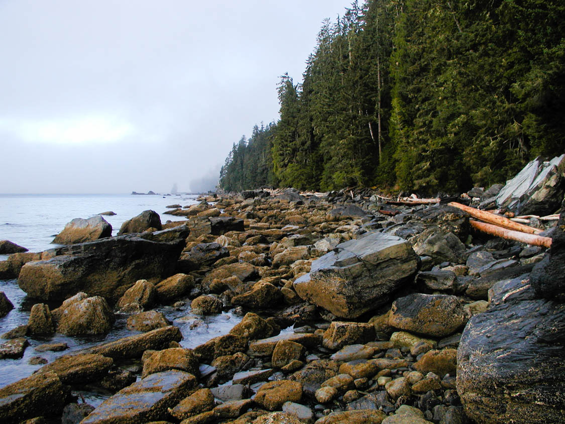 Rocky shoreline on a cloudy day 