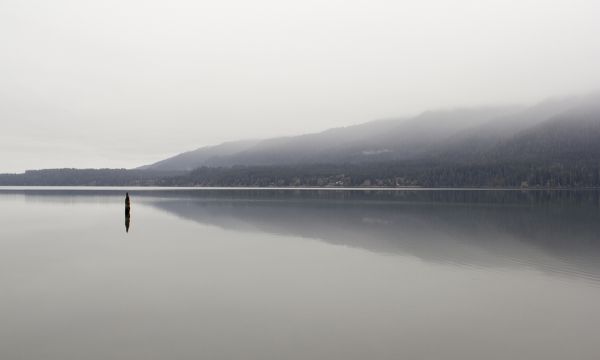 Low fog over an inland waterway 